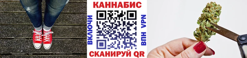 Купить где  Магадан  Канабис Amnesia 